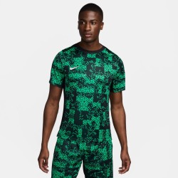 T-Shirt NK DF Academy Pro GR/BK