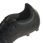 Copa Pure.3 FG BK