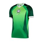 JERSEY NIGERIA 26 LOCAL "VERSIÓN FAN"