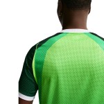 JERSEY NIGERIA 26 LOCAL "VERSIÓN FAN"