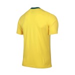 Jersey Nike Brasil Clásica Local