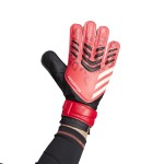 Guantes de Portero Adidas Predator RD