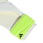 Guantes de Portero Predator Infantil