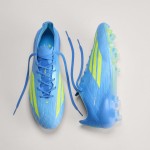 ADIDAS F50 ELITE FG ICP