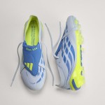 ADIDAS PREDATOR ELITE FG ICP