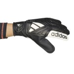 Guantes de Portero COPA 