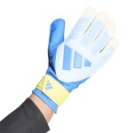 GUANTES DE PORTERO ADIDAS PREDATOR TRAINING ICP
