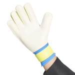 GUANTES DE PORTERO ADIDAS PREDATOR TRAINING ICP
