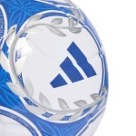 BALÓN #5 ARGENTINA GAMBETA LEAGUE KE5087