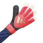 GUANTES DE PORTERO PREDATOR ROAD TO GLORY 26