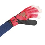 GUANTES DE PORTERO PREDATOR ROAD TO GLORY 26
