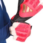 GUANTES DE PORTERO PREDATOR ROAD TO GLORY 26