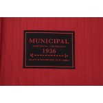 JERSEY DE HOMBRE MUNICIPAL LIFESTYLE 90 RD